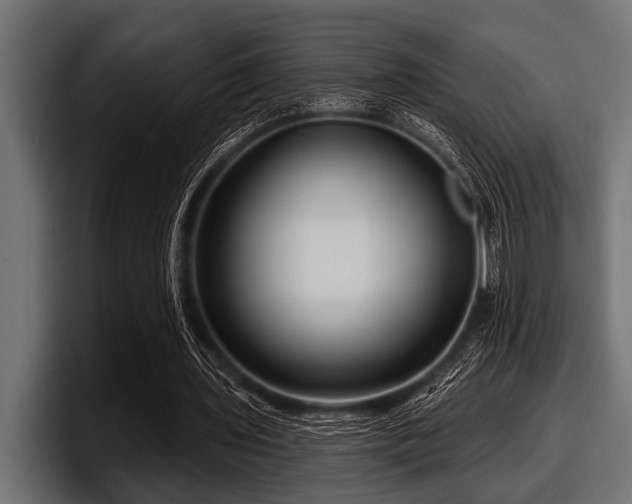 X0000097950435200803241156