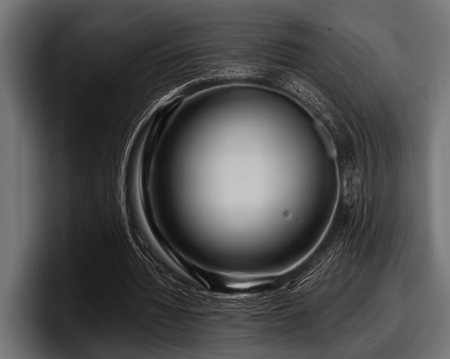 X0000097950436200803241156