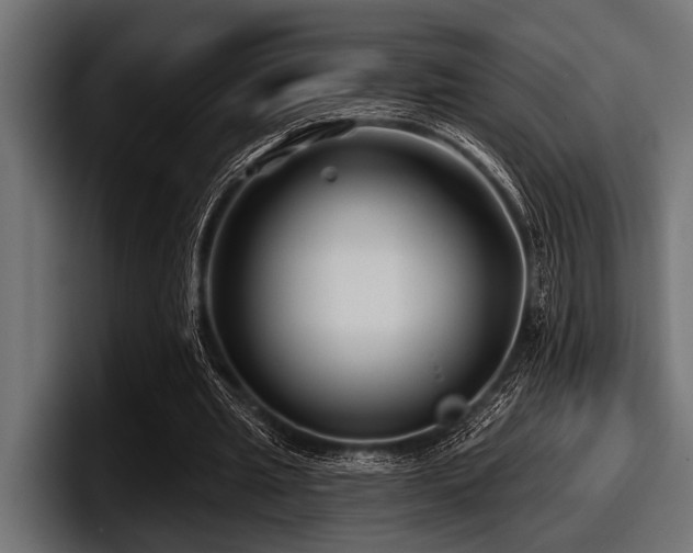 X0000097950437200803241156