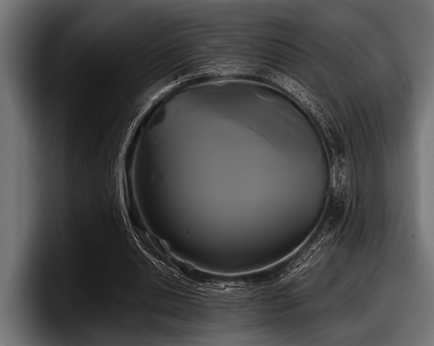 X0000097950438200803241156