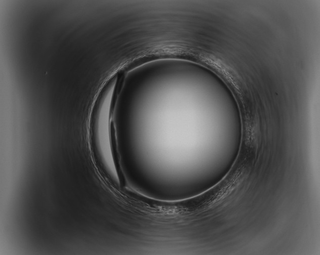X0000097950439200803241156