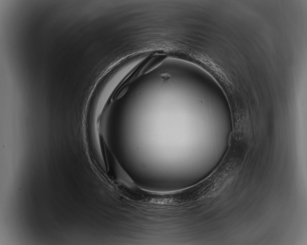 X0000097950440200803241157