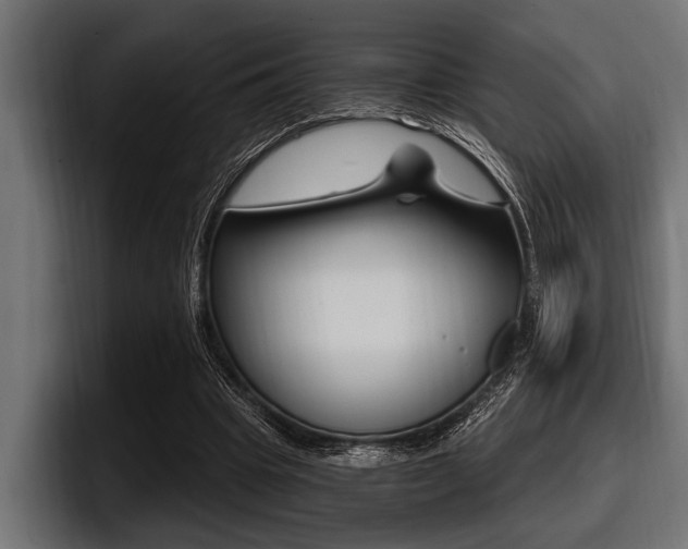 X0000097950441200803241157