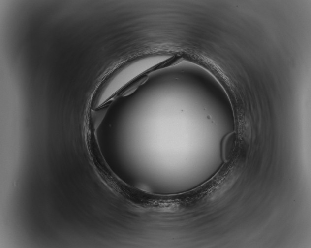 X0000097950443200803241157