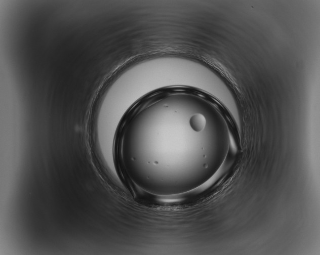 X0000097950444200803241157