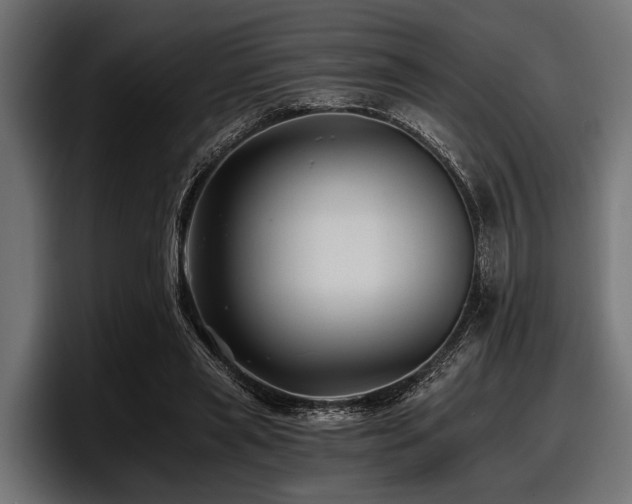 X0000097950445200803241157