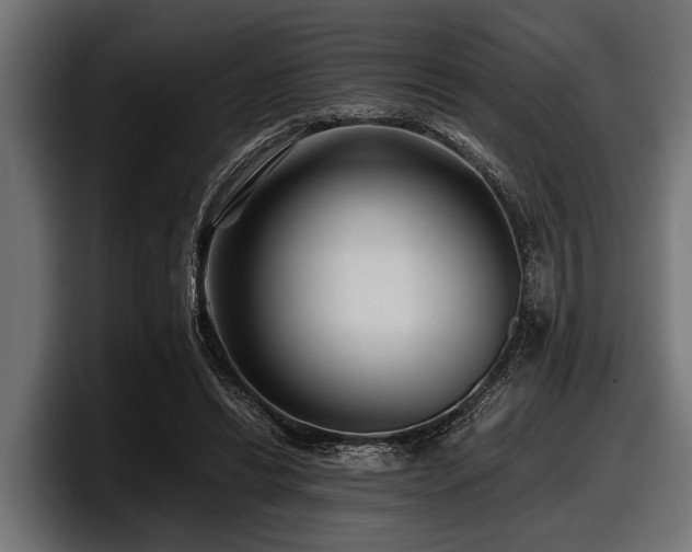 X0000097950446200803241157
