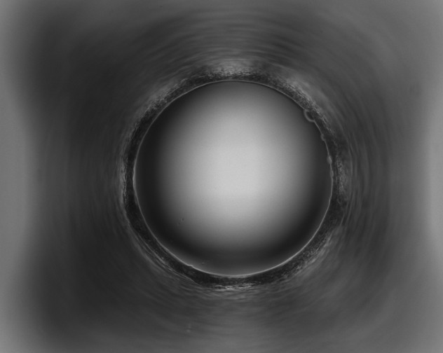X0000097950447200803241157