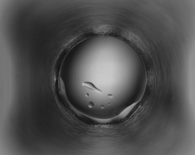 X0000097950448200803241157
