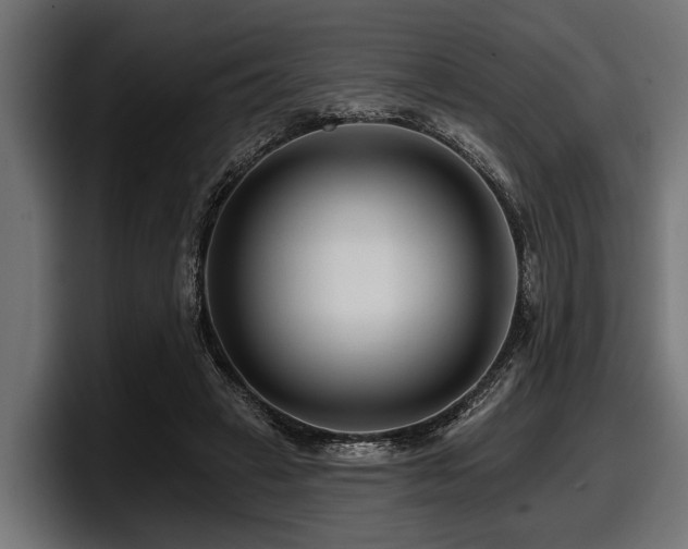 X0000097950449200803241157
