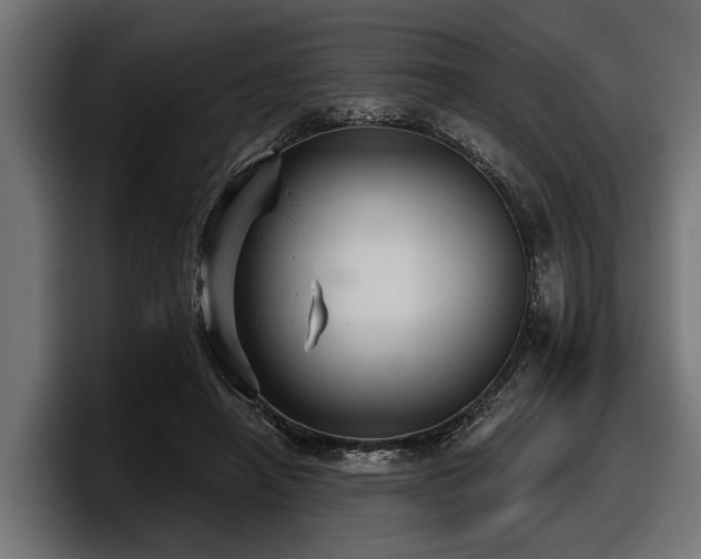 X0000097950450200803241157
