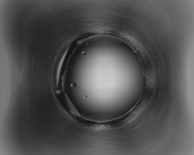 X0000097950453200803241157