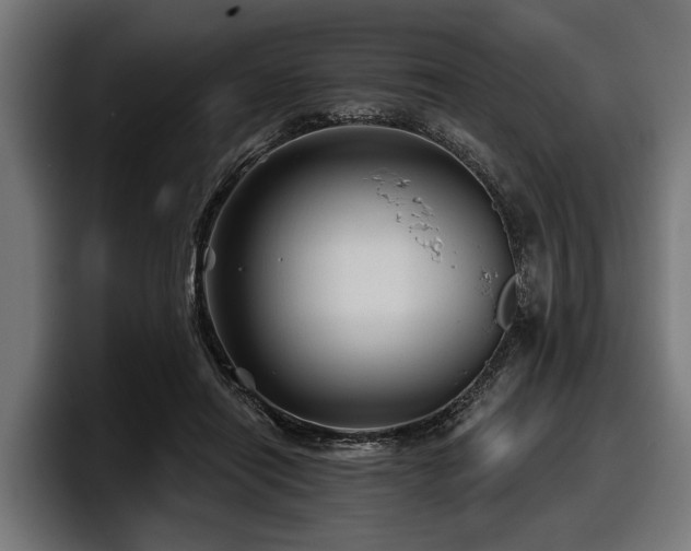 X0000097950454200803241157