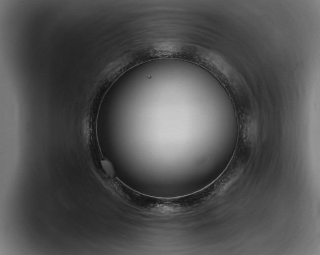 X0000097950455200803241157