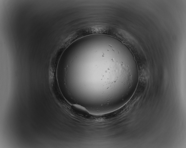 X0000097950456200803241157