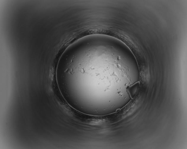 X0000097950458200803241157