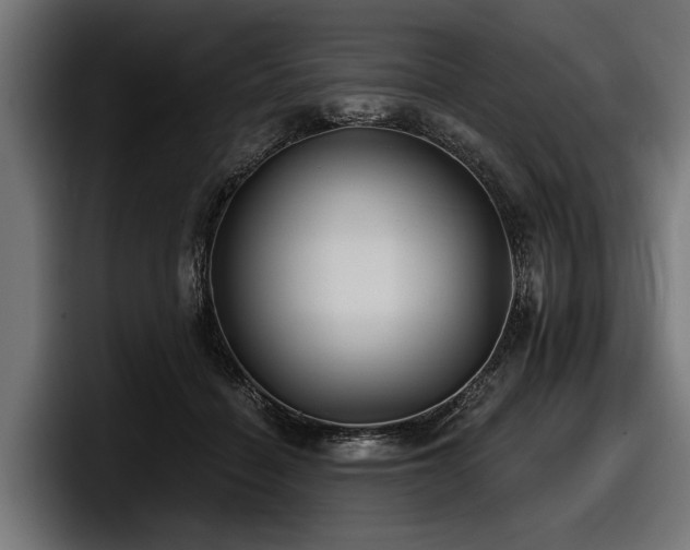 X0000097950460200803241157