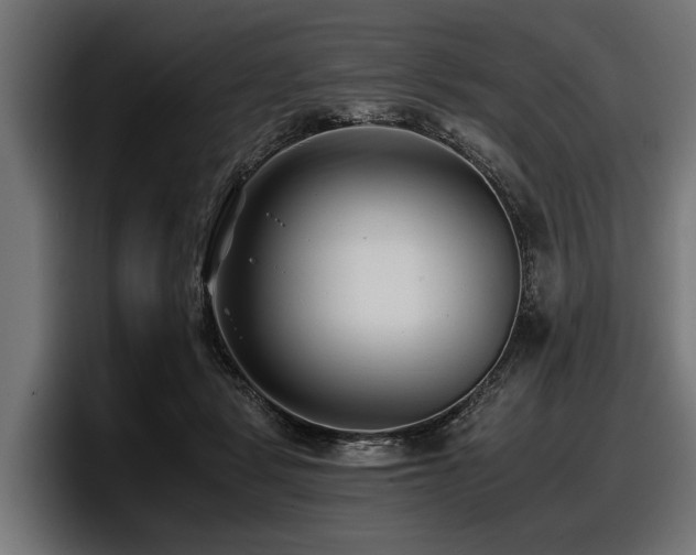 X0000097950461200803241157