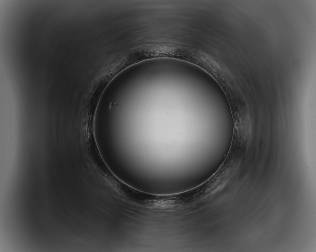 X0000097950462200803241157