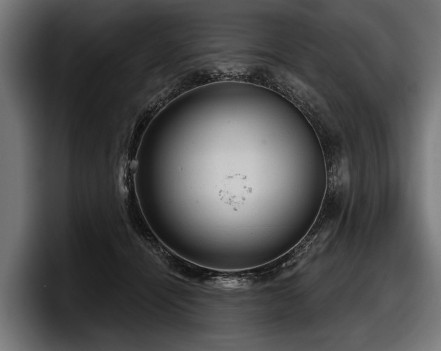 X0000097950464200803241157