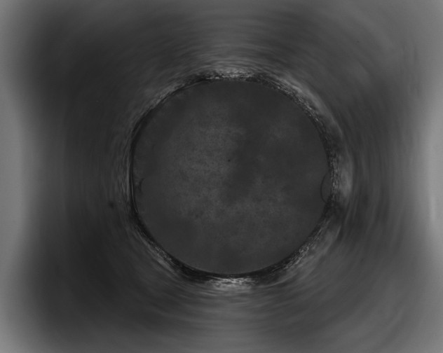 X0000097950465200803241157