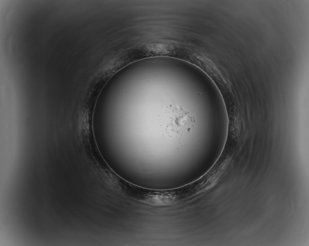 X0000097950466200803241157