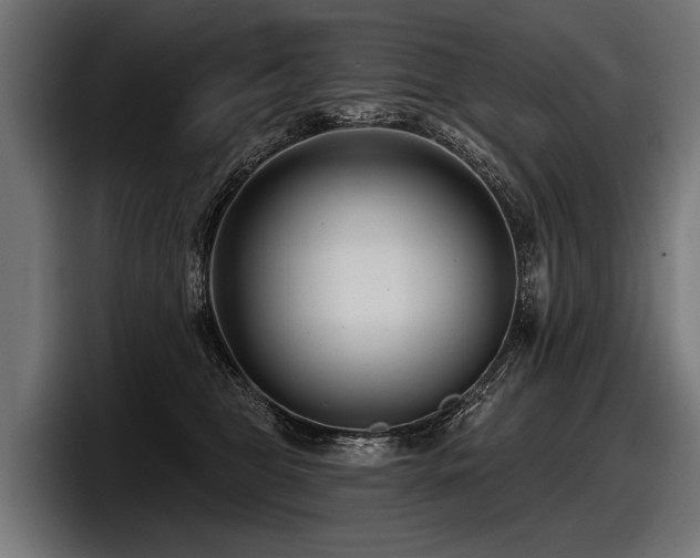 X0000097950469200803241157