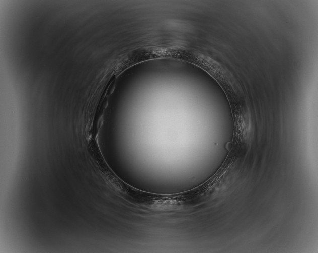 X0000097950470200803241157