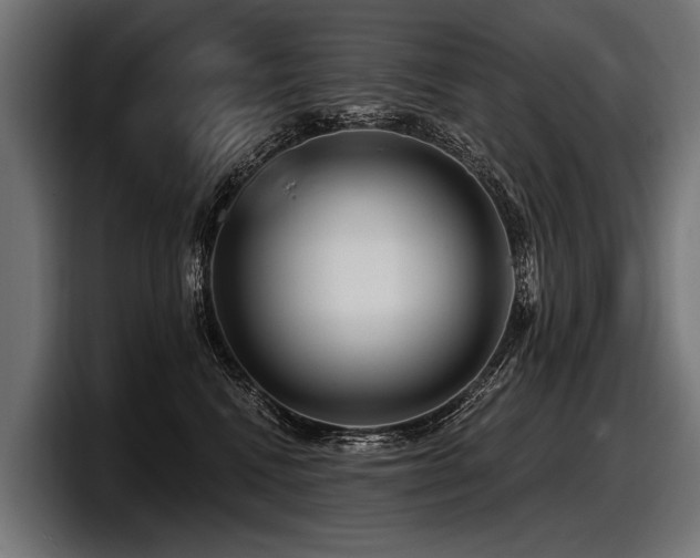 X0000097950472200803241157