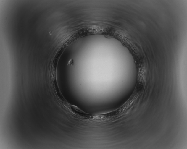 X0000097950474200803241157