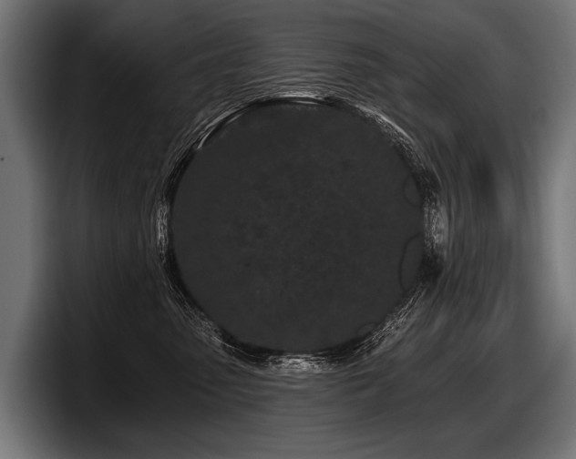 X0000097950475200803241157
