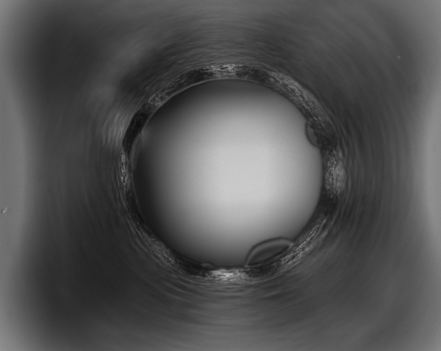 X0000097950477200803241157