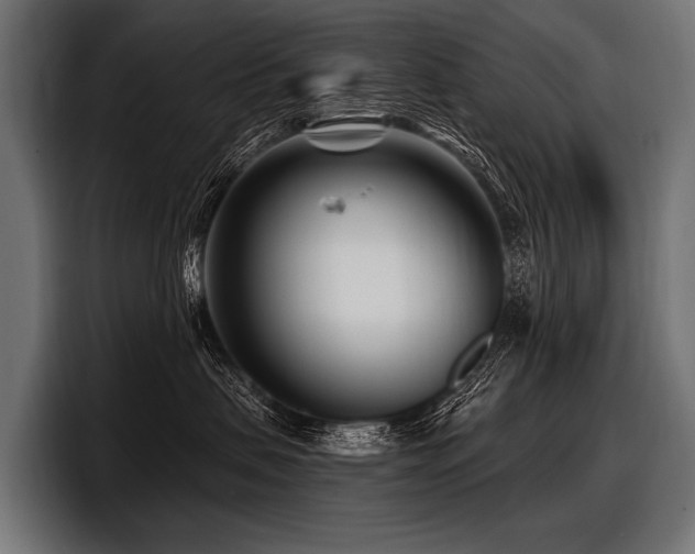 X0000097950479200803241157