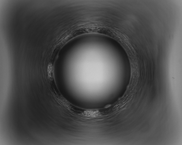 X0000097950480200803241157
