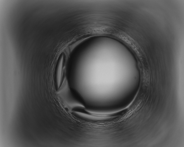 X0000097950481200803241156