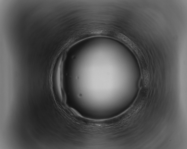 X0000097950482200803241156