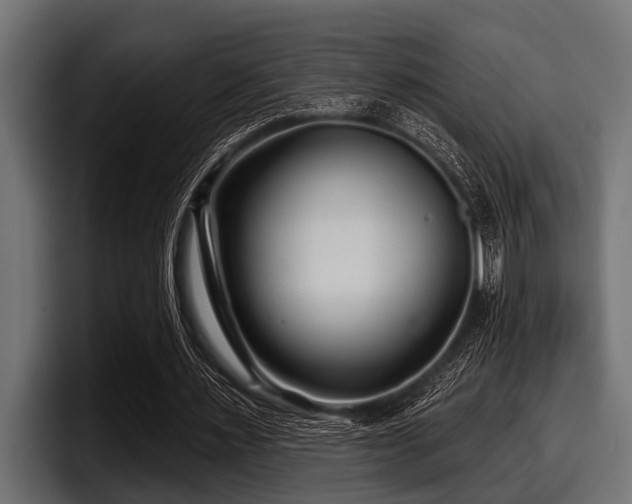 X0000097950483200803241156
