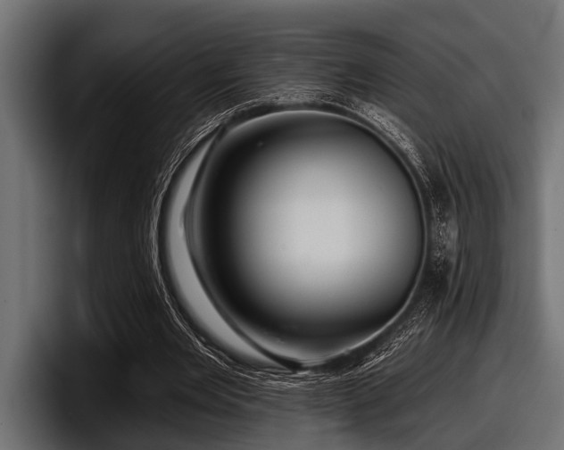 X0000097950485200803241156