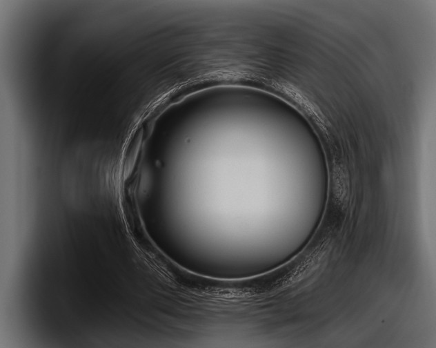 X0000097950486200803241156