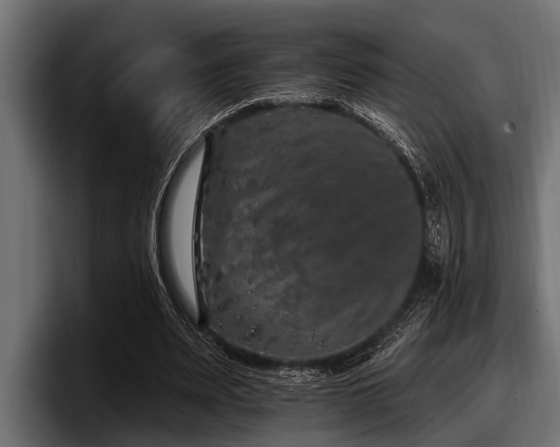 X0000097950487200803241156