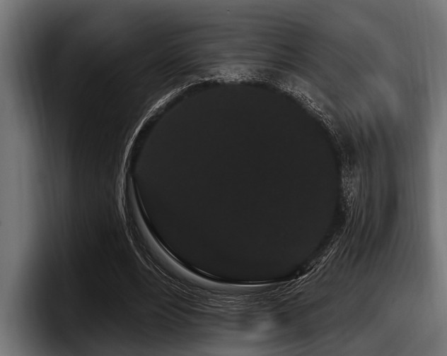 X0000097950488200803241156