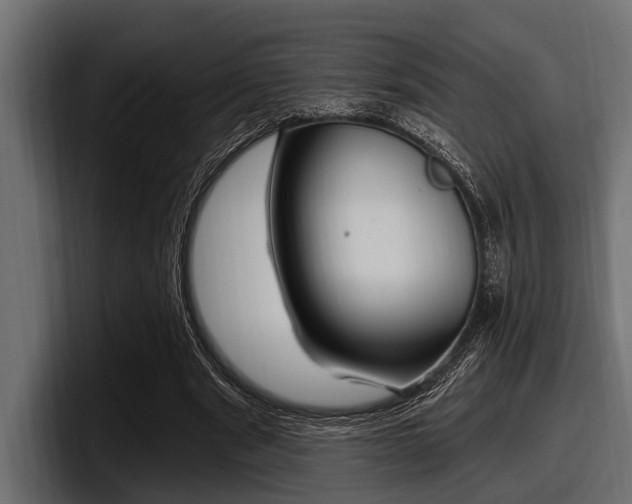 X0000097950489200803241156