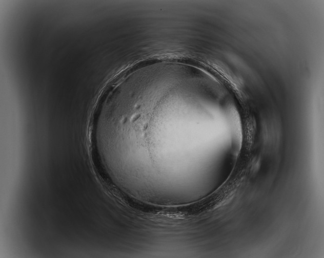 X0000097950491200803241156