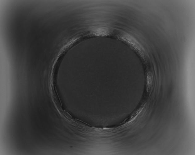 X0000097950492200803241156