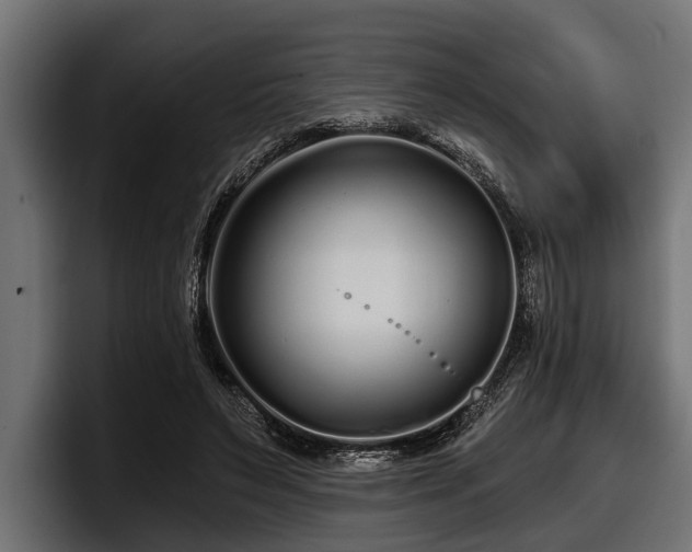 X0000097950495200803241156