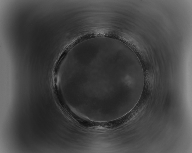 X0000097950496200803241156