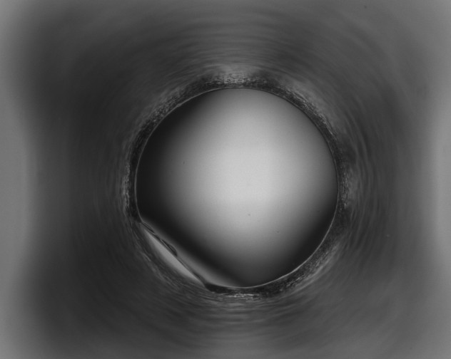 X0000097950497200803241156