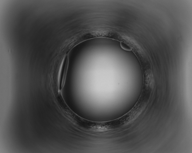 X0000097950498200803241156
