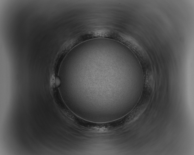 X0000097950502200803241156