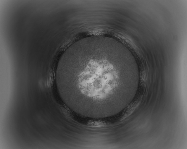 X0000097950503200803241156